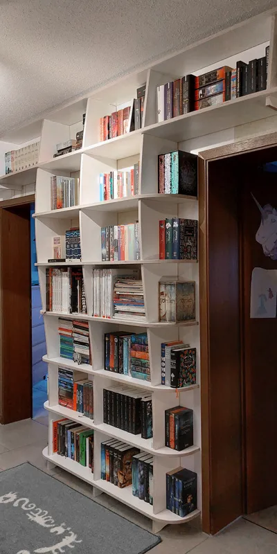 Bücherregal zwischen zwei Türen