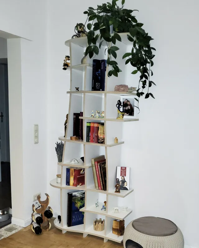 Organisches Designerregal