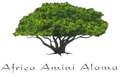 Logo Tischlerschule Africa Amini Alama