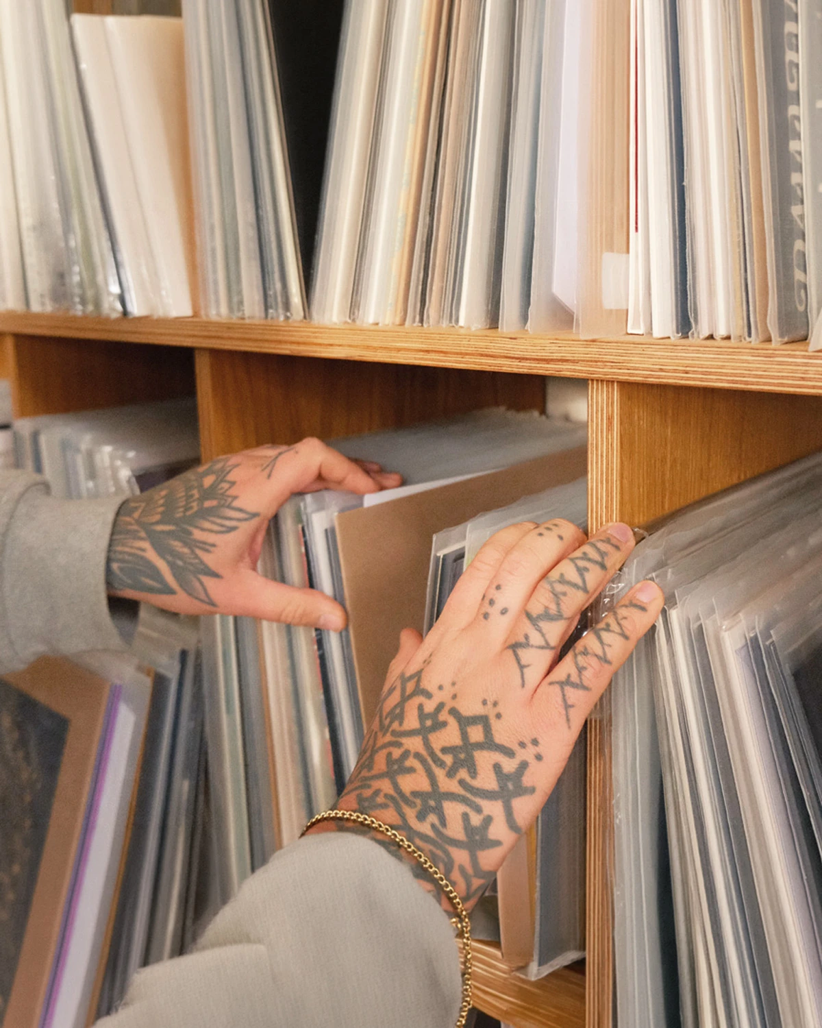 Gros plan sur une étagère à disques en chêne